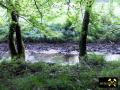 Lochborner Bergwerksteich bei Bieber im Nordspessart, Hessen, (D) (10) 31. Mai 2014 Zufluss.JPG